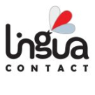 Артвижн Про