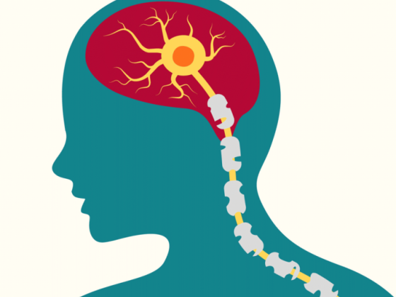 Лучшее лечение рассеянного склероза в Индии