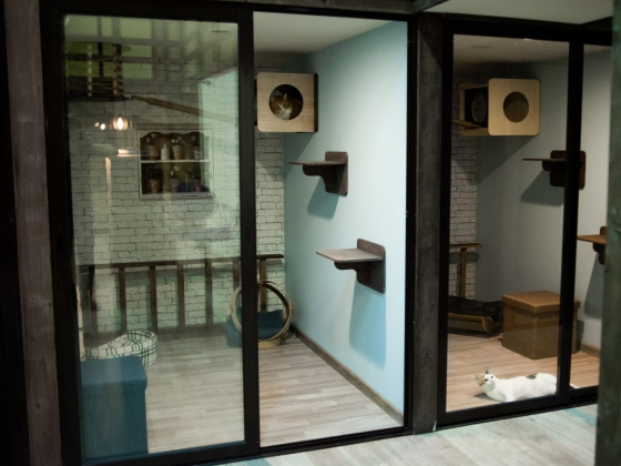 Завод Теплиц.ру, компания по производству теплиц