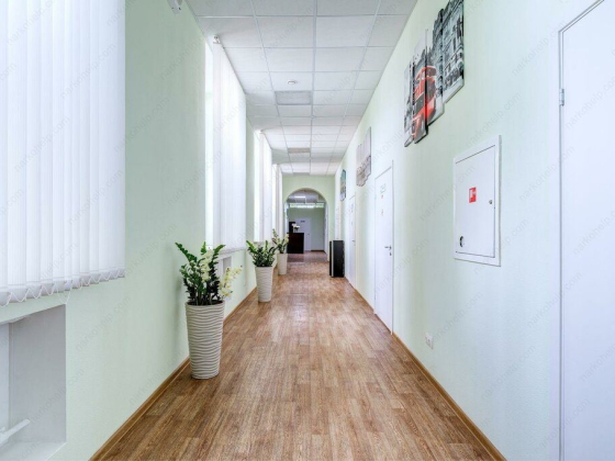 Новый вектор Петрозаводск