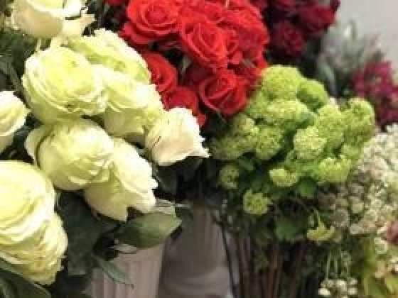 alesya.k@uplinkweb.ru