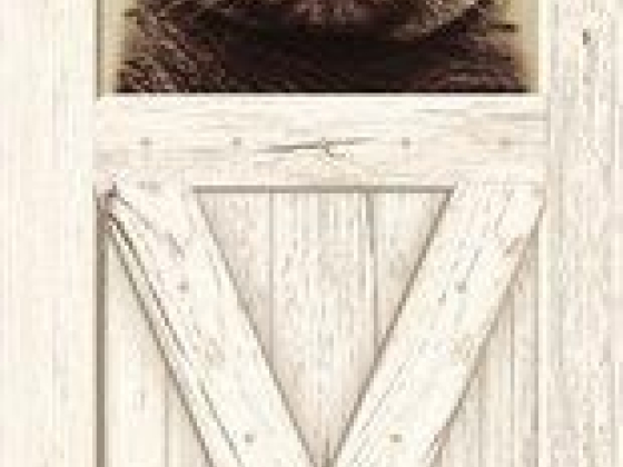 Коробейник, компания по продаже и установке дверей, окон, натяжных потолков