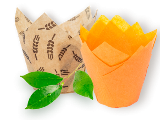 ЭКОПАК - производитель экологически чистой упаковки для пищевой продукции