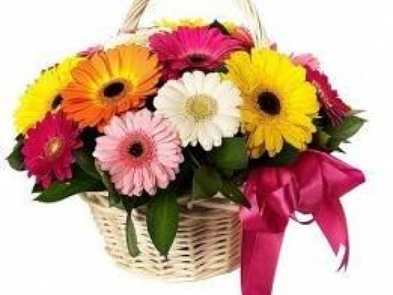 Интернет-магазин "Рускус"