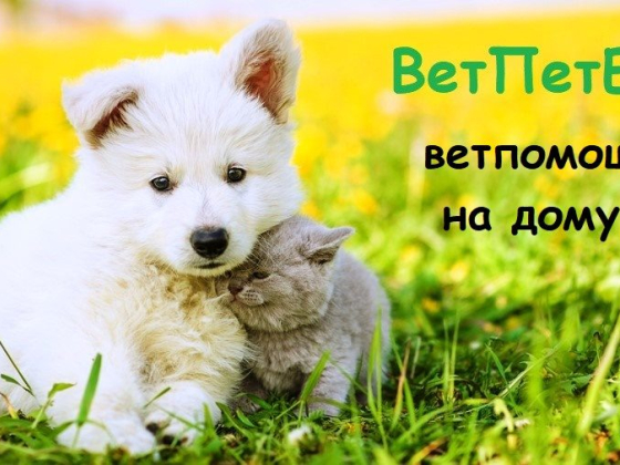 ВетПетЕкб Ветклиника в Екатеринбурге