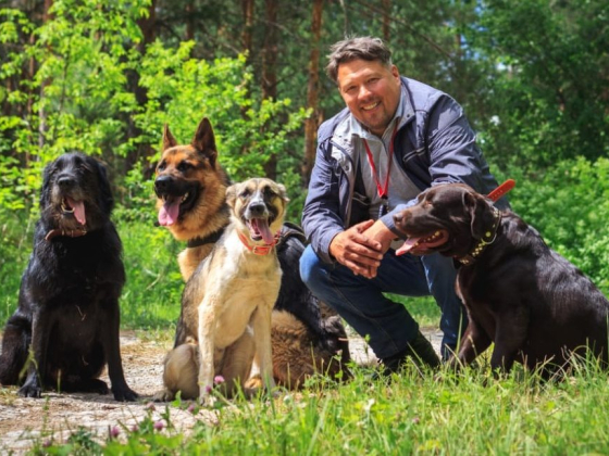 Гостиница для собак "Приют странника"