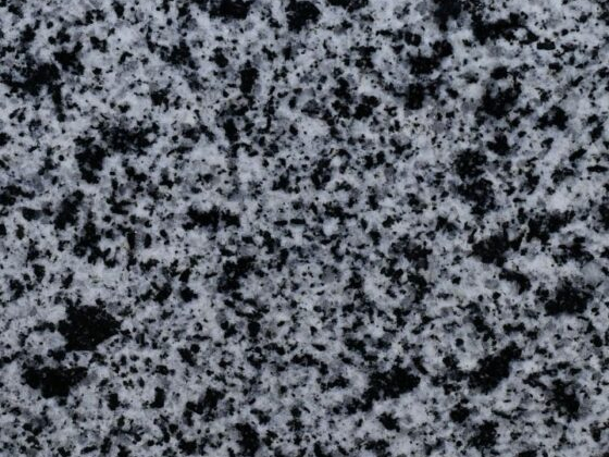 Автономное некоммерческое профессиональная образовательная организация Региональный центр профессионального образования