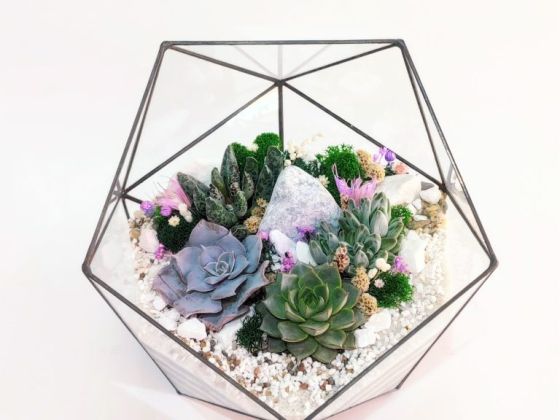 Флорариумы Florandglass