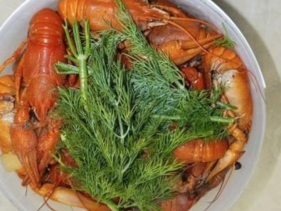 Раки. Вареные и живые