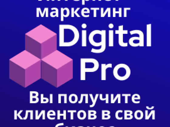 Веб-студия, интернет-маркетинг, консалтинг | Digital Pro