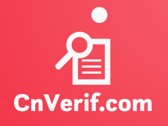 CnVerif - проверка китайских поставщиков