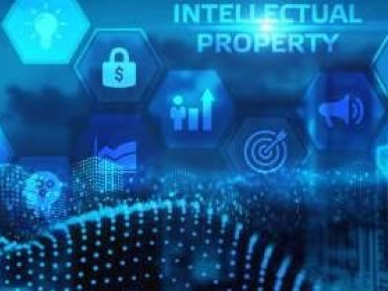 Право собственности на программное обеспечение или веб-сайт