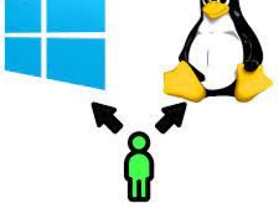 Linux или Windows?