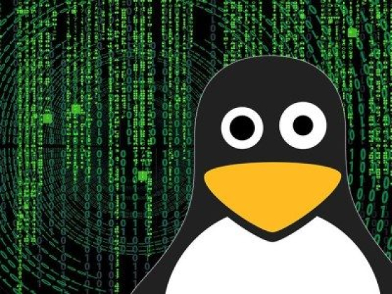 Существует ли Linux-вирус?