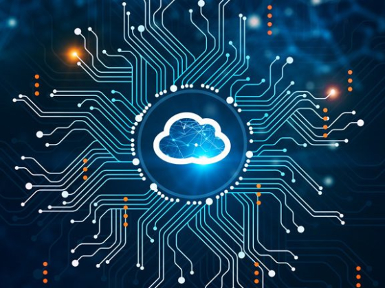 Фраза дня: SASE