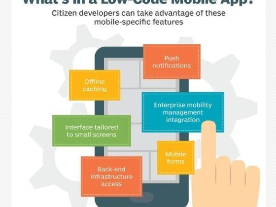 Фраза дня: citizen development