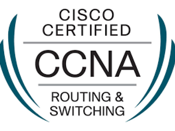 Фраза дня: CCNA certification
