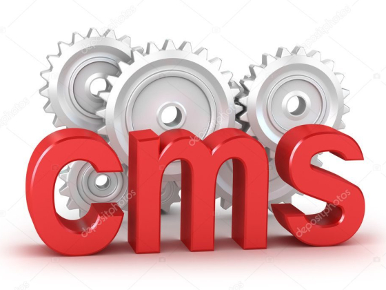 Фраза дня: content management system (CMS)