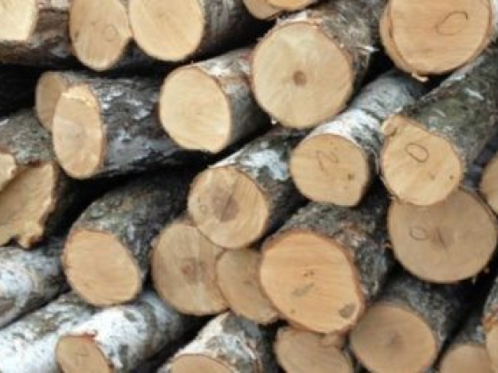 Комиссионщик