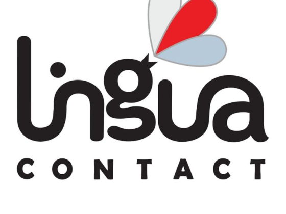 Артвижн Про