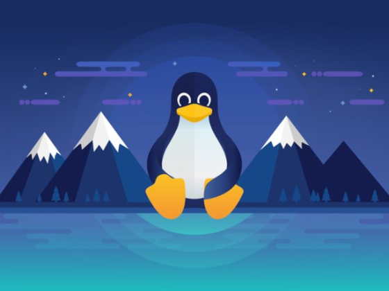Какой версии Linux вы больше всего доверяете и какую используете?