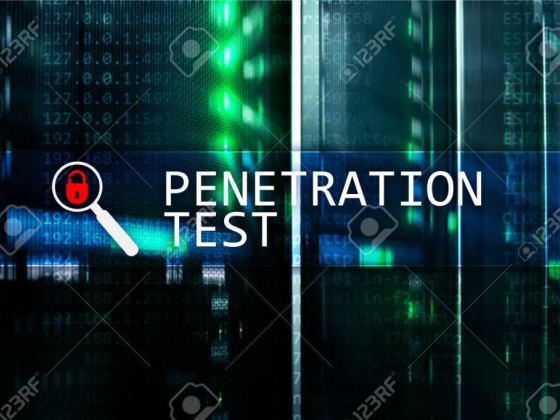 Фраза дня: тестирование на проникновение