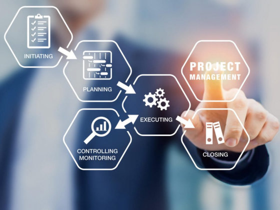 Фраза дня: IT project manager