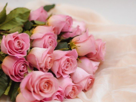 Активити Парк Лимпопо